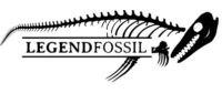 Legend Fossil