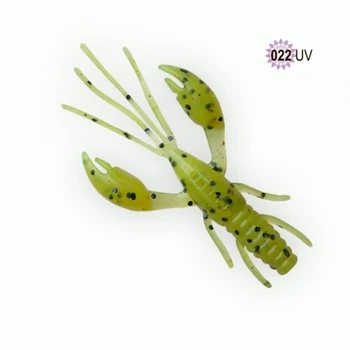 FANATIK RAIDER RÁKIMITÁCIÓ