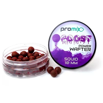 PROMIX GOOST POWER WAFTER 10MM - SQUID