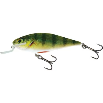 SALMO EXECUTOR 7 SR FLOATING WOBBLER 7CM 8G - RPH