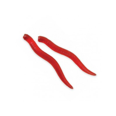 CARP ZOOM ARTIFICAL WORM