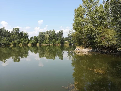 Társadalmi munka