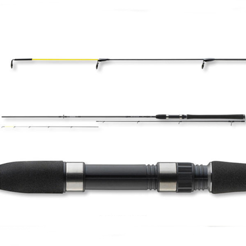 DAIWA BLACK WIDOW PICKER 2,70M 25GR BOT