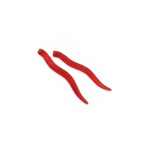 CARP ZOOM ARTIFICAL WORM