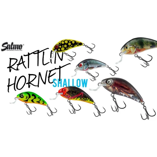 SALMO RATTLIN HORNET 3,5SR SHALLOW WOBBLEREK 3,5CM 3G