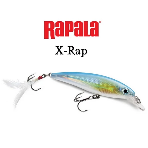 RAPALA X-RAP XR-8 WOBBLER XR08 FTU