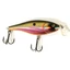 EUROCARP ROACH WOBBLER FLOATING 7CM 7GR GFC