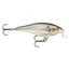 RAPALA SHALLOW SHAD RAP SSR09 - SHAD (SD)
