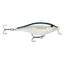 RAPALA SHALLOW SHAD RAP SSR09 - BLEAK (ALB)