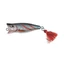 JAXON HOLO SELECT POPPER CHLUP 5CM 6G - KSN