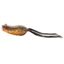 SAVAGE GEAR HOP POPPER FROG BÉKAIMITÁCIÓ 5,5CM 15G - TAN