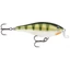 RAPALA SHALLOW SHAD RAP SSR09 - YELLOW PERCH (YP)