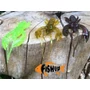 Kép 6/6 - FISHUP REAL CRAW RÁKIMITÁCIÓ 2" - 4,8CM - 7DB
