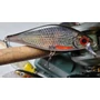 Kép 4/5 - RAPALA SUPER SHADOW RAP SSDR16 WOBBLEREK 16CM 77G