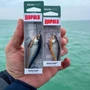 Kép 4/4 - RAPALA SHAD RAP® ELITE SRE75 BALSAFA WOBBLEREK