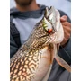 Kép 3/3 - RAPALA RIPPIN’ RAP® PRP07 WOBBLEREK 