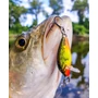 Kép 2/2 - RAPALA COUNTDOWN CD01 WOBBLEREK 2,5 CM 2,7G