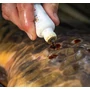 Kép 2/2 - KORDA KORDA PROPOLIS CARP FERTŐTLENÍTŐ SEBGYÓGYÍTÓ