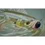 Kép 2/3 - SALMO LIL BUG WOBBLEREK BG3F 3CM 4,3G