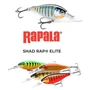 Kép 1/4 - RAPALA SHAD RAP® ELITE SRE75 - GILDED LIVE ROACH (GDROL)