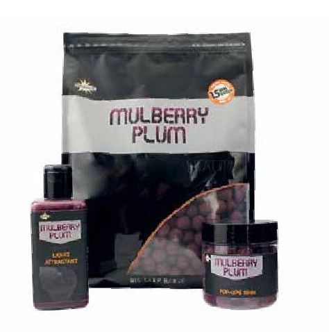 DYNAMITE BAITS BOJLI MULBERRY PLUM HI ATTRACT 20MM S/L 1KG DY1011